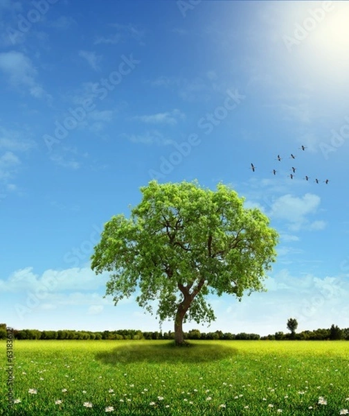 Obraz Szczęśliwa wiosna