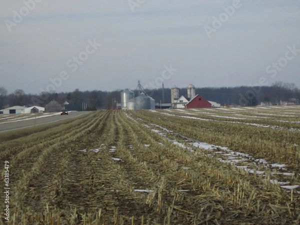 Obraz Peaceful Farmland