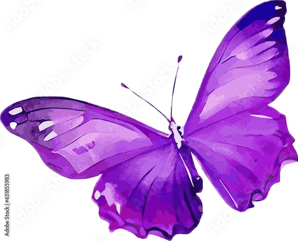Obraz 紫の綺麗な蝶々の水彩イラスト