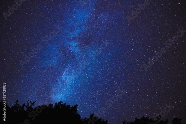 Obraz starry night sky