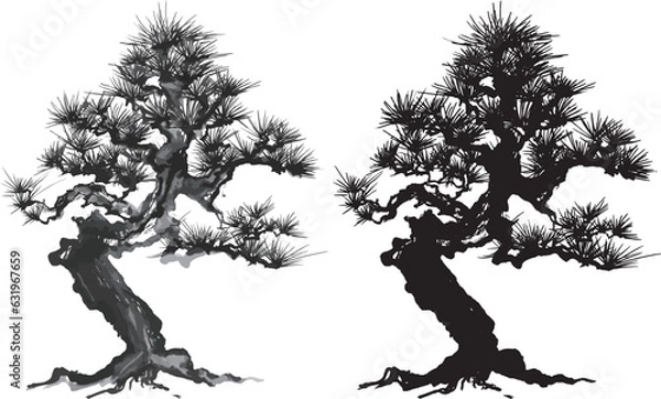 Obraz Matsu Bonsai odręczna ilustracja pędzla