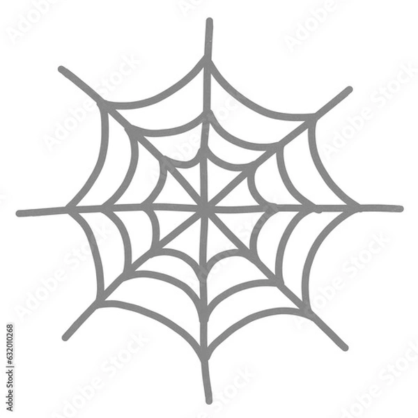 Obraz Spider web