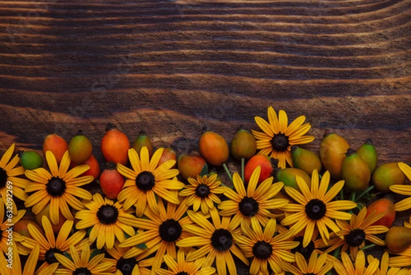 Fototapeta Yellow flowers of rudbeckia sunflowers with rosehip berries on a brown wooden background with an empty space for text, copy space, flat lay, flat layout, cover design element concept, labels, summer 