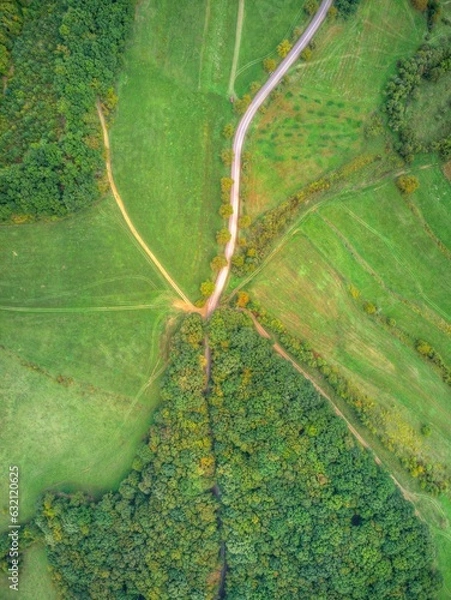 Fototapeta Drone's Eye View: A New Perspective on Forest Patterns. Aerial forest destruction: Uncovering Patterns from Above.