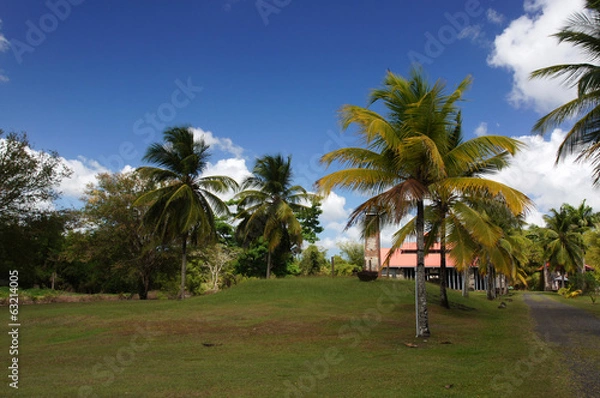 Obraz Jardin de la Maison de la Canne aux Trois-Ilets