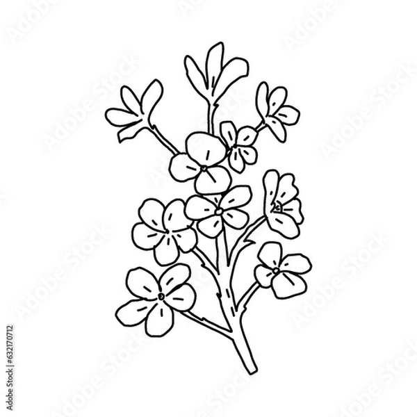 Fototapeta garden plant element, hand drawn style