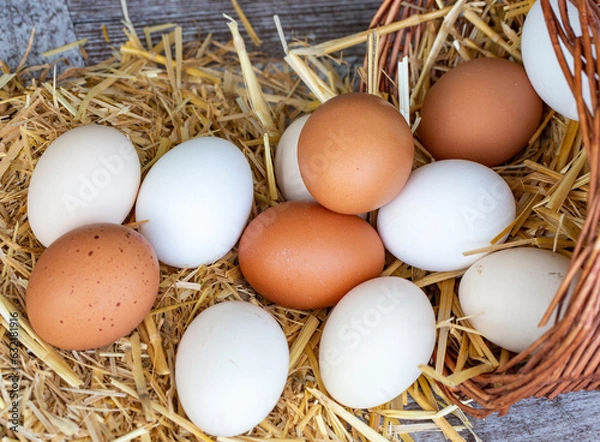 Fototapeta Eggs, Chicken Egg on Straw