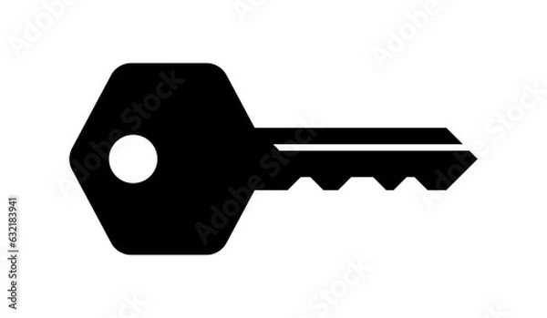 Obraz Simple key vector illustration icon