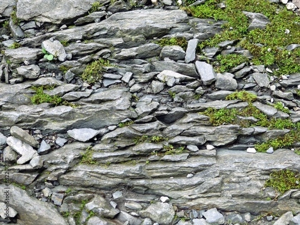 Obraz Gray grit- or slate-path with moss