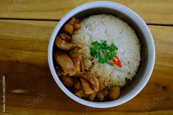Obraz Chicken and gravy with rice