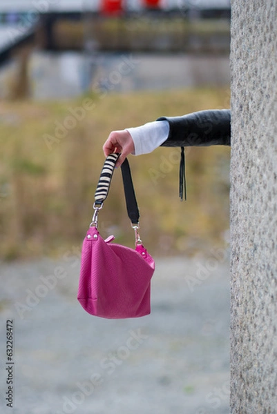 Obraz Pink Purse