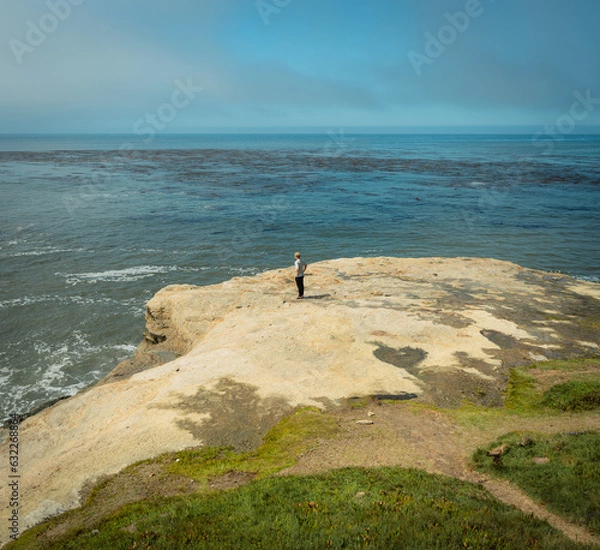 Obraz West Coast View