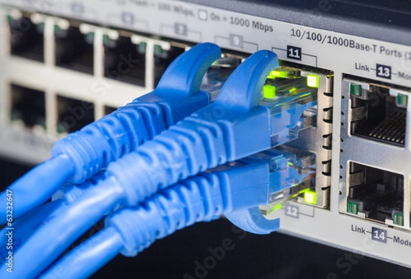 Obraz RJ45 Lan cable connected to switch