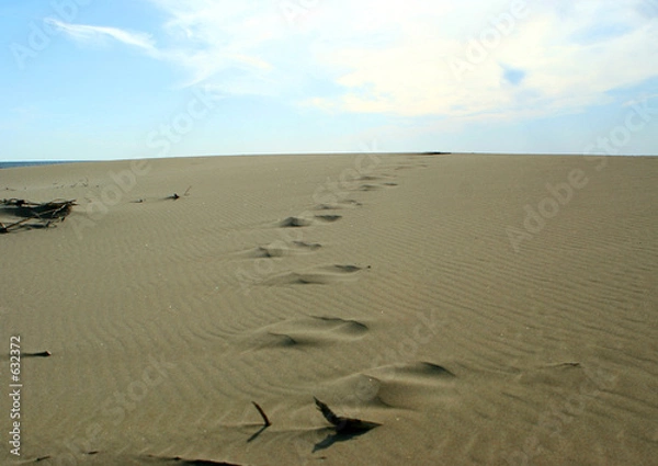 Fototapeta traces de pas