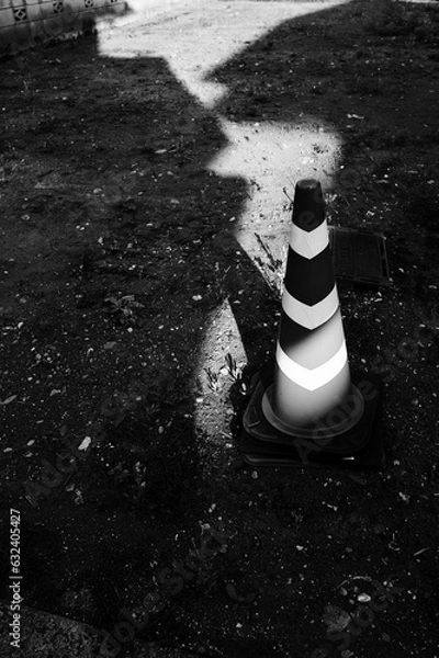 Fototapeta モノクロコーン