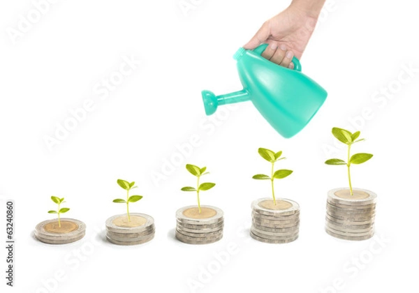 Obraz investment concept