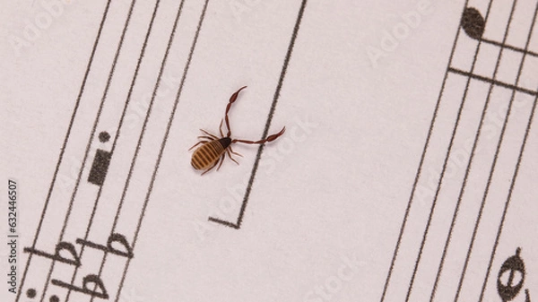 Obraz Bücherscorpion