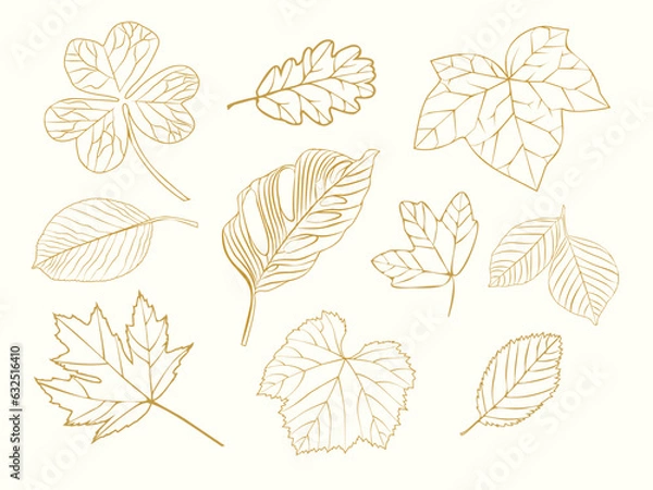Fototapeta set of silhouettes of leaves. linear style. pattern. gold