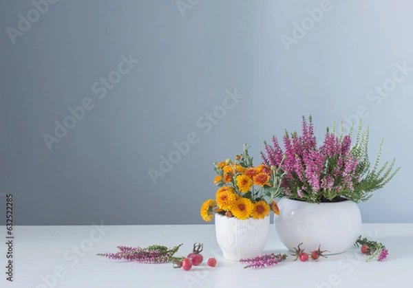 Obraz flowers in white pots on table on gray background 