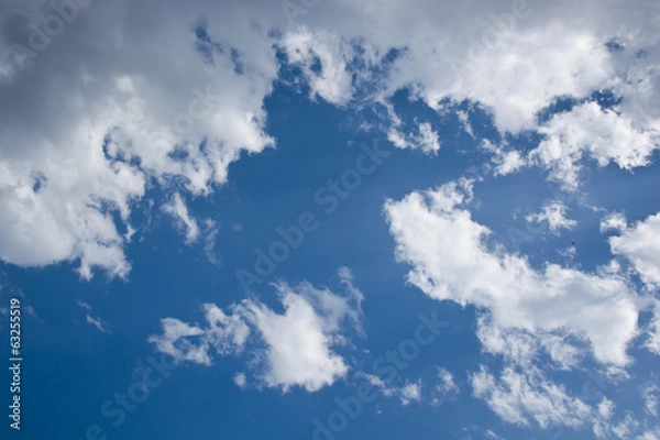 Obraz White cloud and blue sky