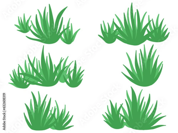 Obraz Shrub Bush Illustration
