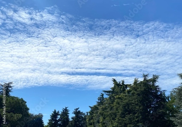 Obraz clouds over the forest