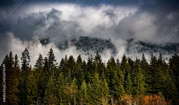 Fototapeta clouds in the mountains