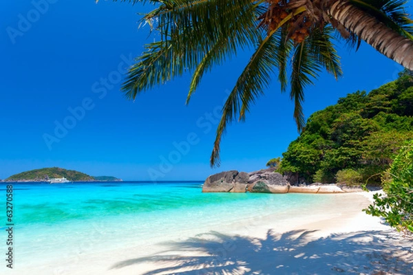 Obraz palma na białej plaży