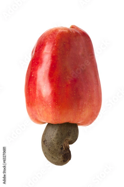 Obraz Brazylijski owoc nerkowca Caju