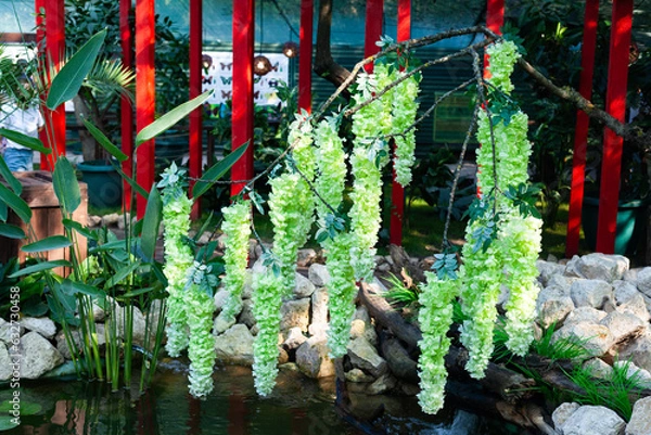 Obraz flowers in the garden