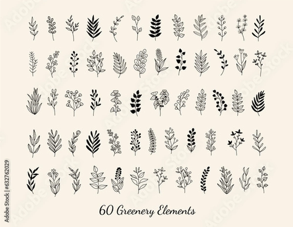 Obraz Minimalistic Botanical Elements, Hand-drawn Flowers & Greenery Line Art, Vector Floral Clip Art, Flower Tattoo Design