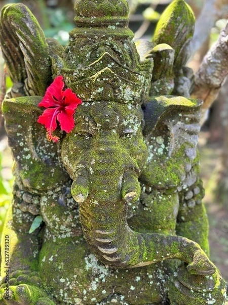 Obraz elephant in green