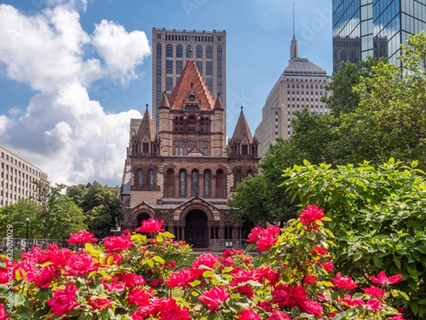 Fototapeta Rose garden in front of the historic Trinity Church at Copley square in Boston Massachusetts