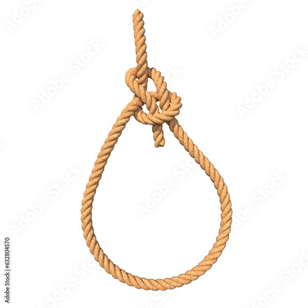 Obraz rope with knot