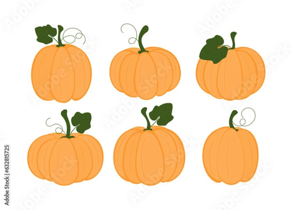 Obraz Set of pumpkins. Collection of autumn squash, pumpkins. Thanksgiving and Halloween design elements. 