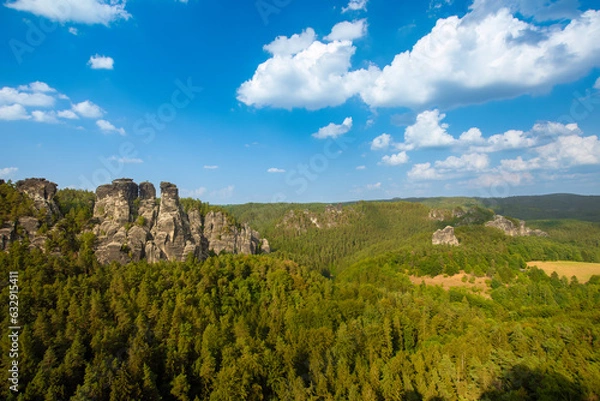 Fototapeta Elbsandsteingebirge in saxonia with tree in foreground