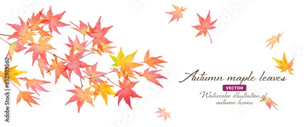 Obraz 赤く色づいた秋の紅葉の枝と落葉。水彩イラストバナー背景。日本スタイル（ベクター。レイアウト変更可能）
