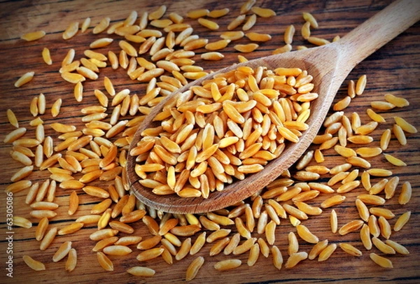 Obraz Grano Khorasan