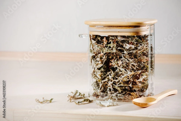 Obraz Dry icelandic moss.