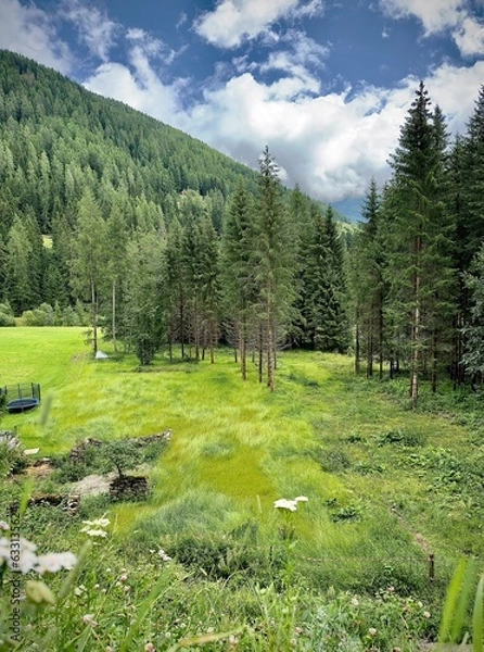 Obraz Prato acconciato