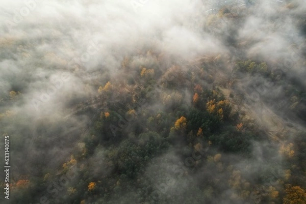 Obraz Mgła o poranku 2