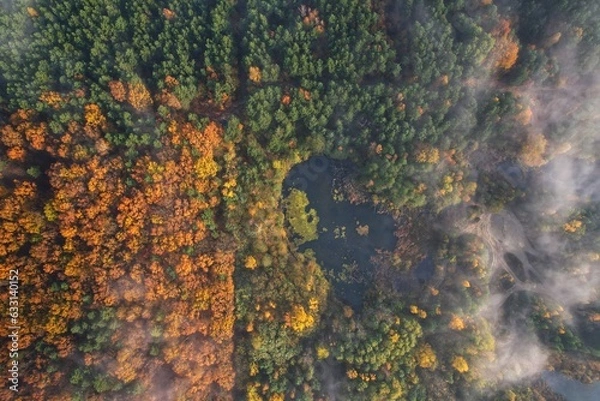 Obraz Mgła nad stawem