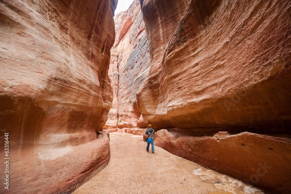 Obraz The Siq, narrow gorge to ancient city Petra, Jordan