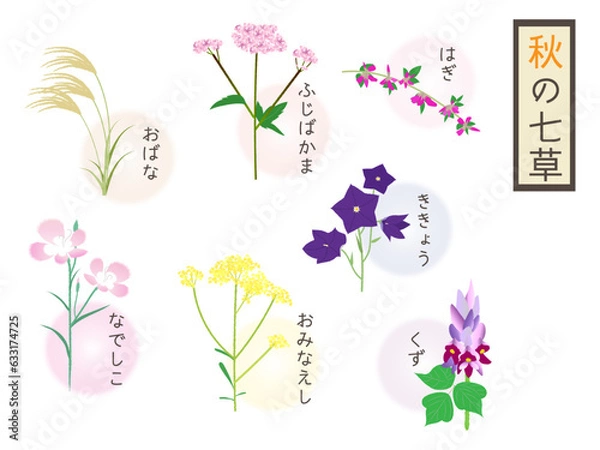 Obraz 秋の七草の植物のイラストと文字入り