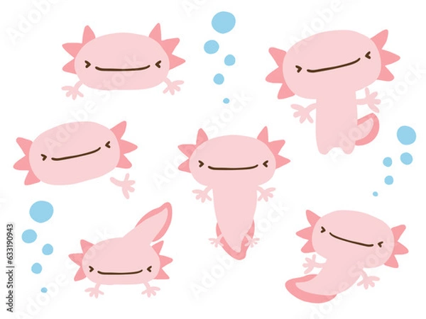 Fototapeta かわいいウーパールーパーとあぶくのセット／手描きイラスト素材