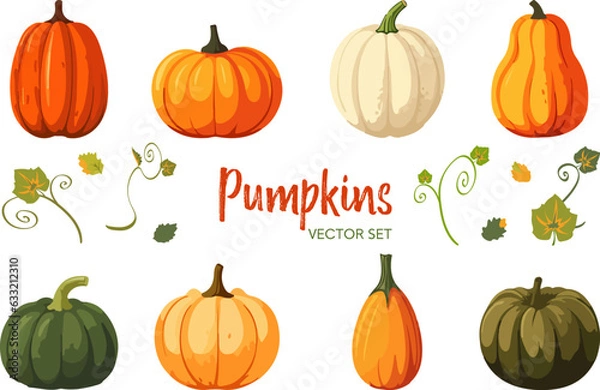 Obraz Vector set of various colorful pumpkins cartoon style isolated on white background