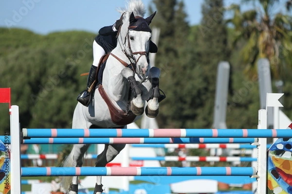 Obraz Schimmel im Sprung