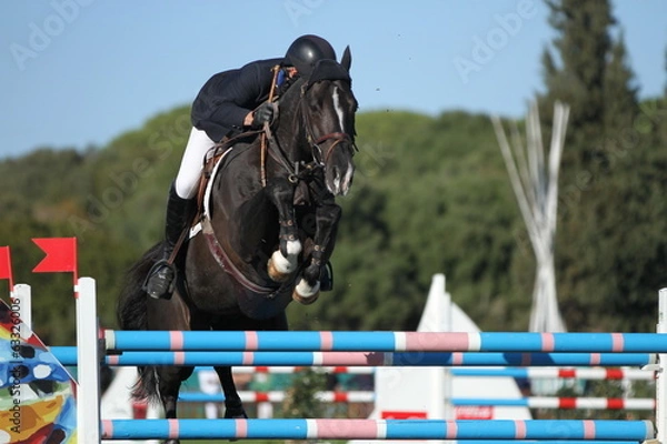 Obraz Schwarzer springt über Oxer