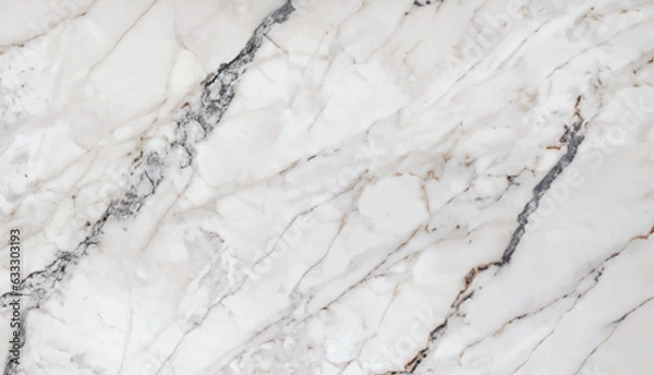 Fototapeta White grey marble floor texture background with high resolution, counter top view of natural tiles stone in seamless glitter pattern and luxurious vector illustration .
