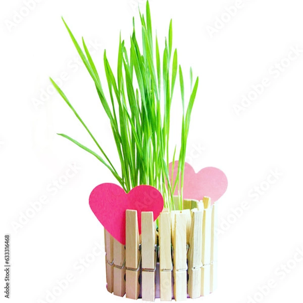 Obraz heart shaped grass